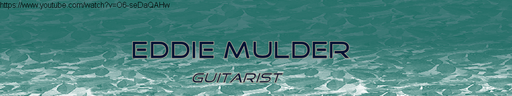 Eddie Mulder
            guitarist
