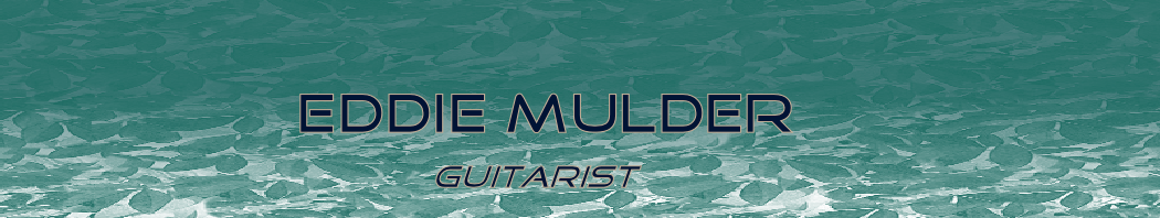 Eddie Mulder
            guitarist